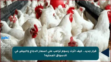 قرار جديد.. كيف أثرت رسوم ترامب على أسعار الدجاج والبيض في الأسواق المحلية؟